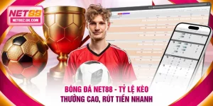 Bóng đá